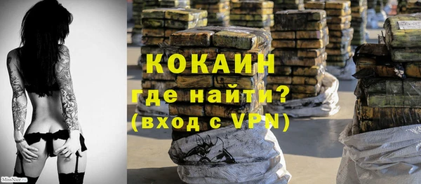 индика Нязепетровск