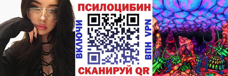 OMG вход  Певек  Галлюциногенные грибы Psilocybine cubensis 